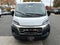 2026 RAM Ram ProMaster Low Roof