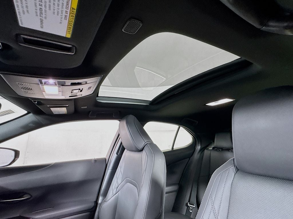 2025 Lexus UX 300h 300h Premium