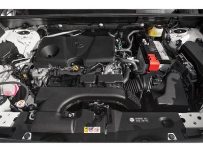 2019 Toyota RAV4 XLE Preferred Owners Prtfolio